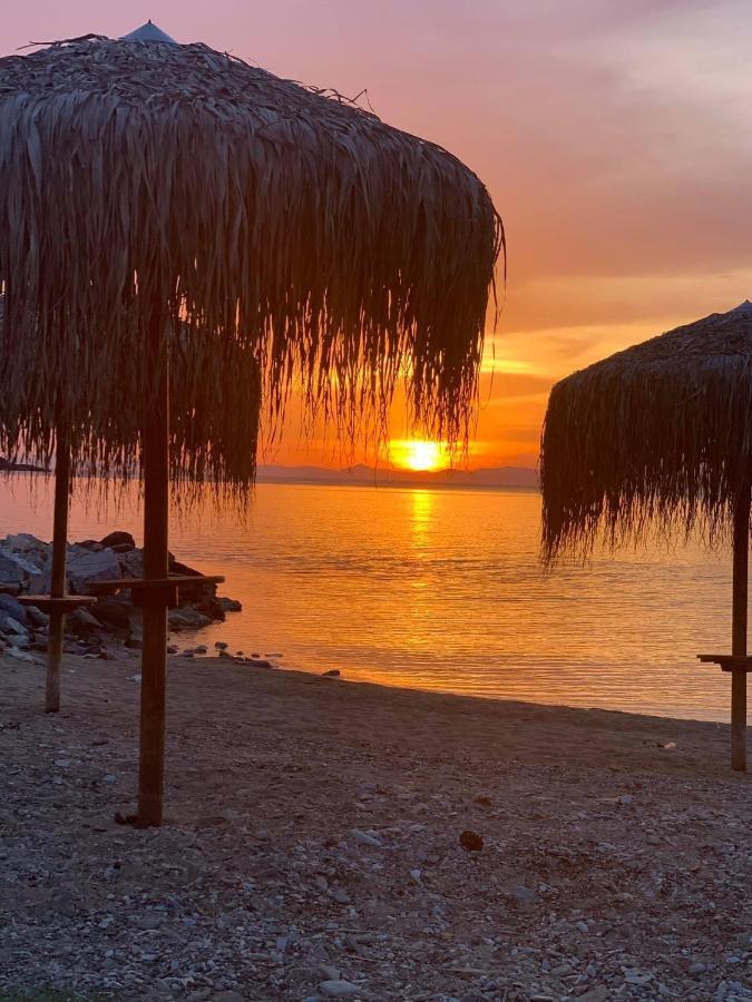 Naiada Apartments Milina Dış mekan fotoğraf